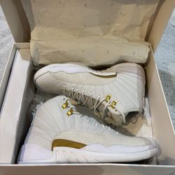 OVO Jordan 12 shoes 