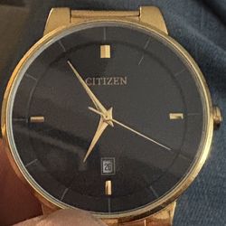 Citizen Watch 