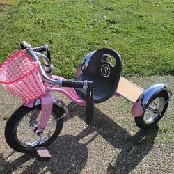 Schwinn Cute Littlw Girls Bike 