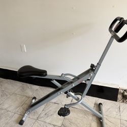 Sunny Health Row-N-Ride Squat Machine – Full Body Workout Trainer