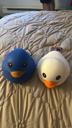 Squishy ducks