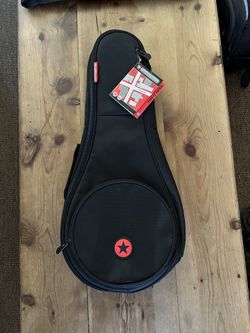 Road Runner Guitar Case For Mandolin