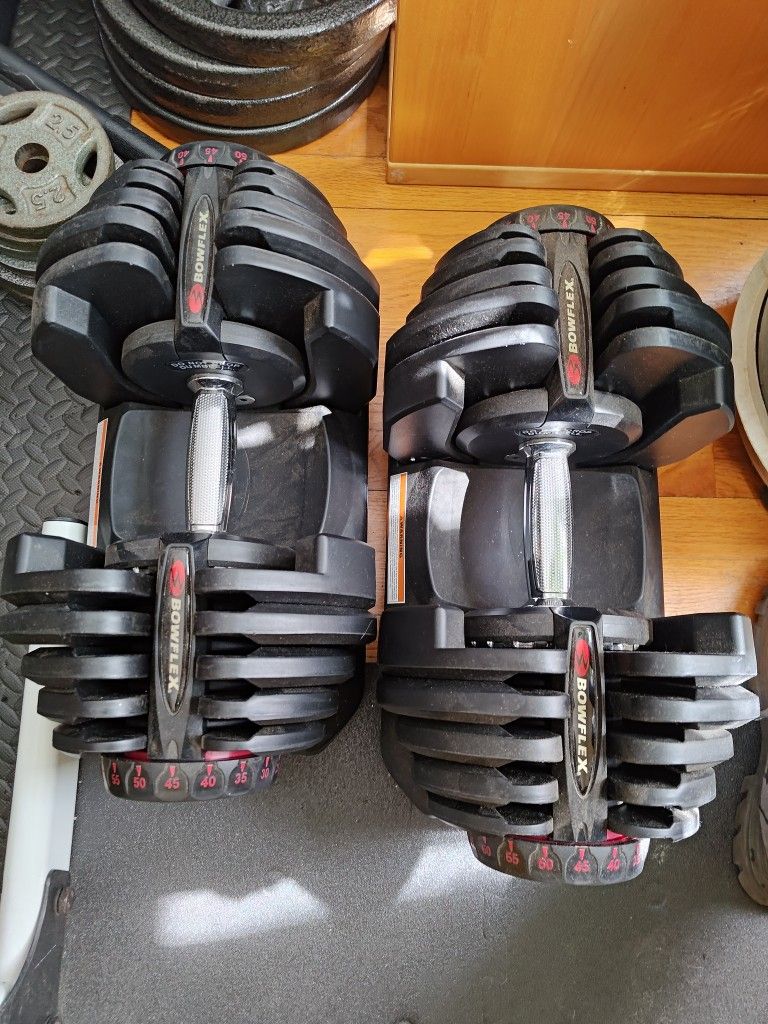 Bowflex 1090 Adjustable Dumbbells