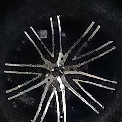 20 Inch Cvt Rims 5×115 