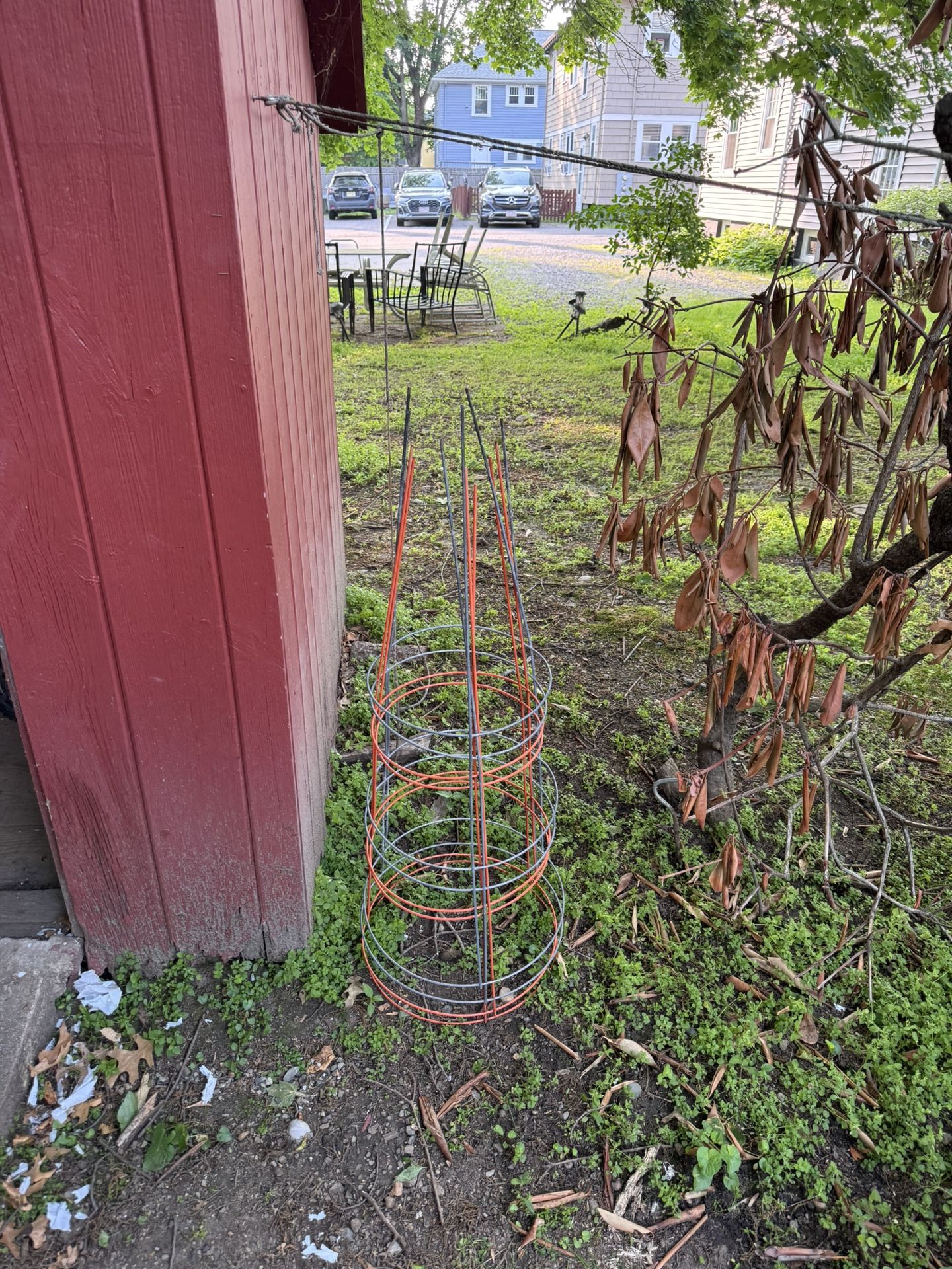 Tomato Support Stands