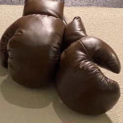 Boxing Gloves 