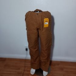 Carhartt Insulated Pants 