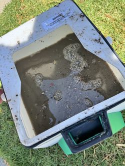 Turf deep cleaning