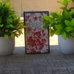 Gucci Bloom Perfume 