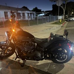 Harley Street Bob 114 (2024) Message Me For Better Price