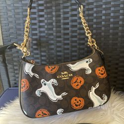 nwt coach Teri Shoulder Bag In Signature canvas Pumpkin Halloween print cce71