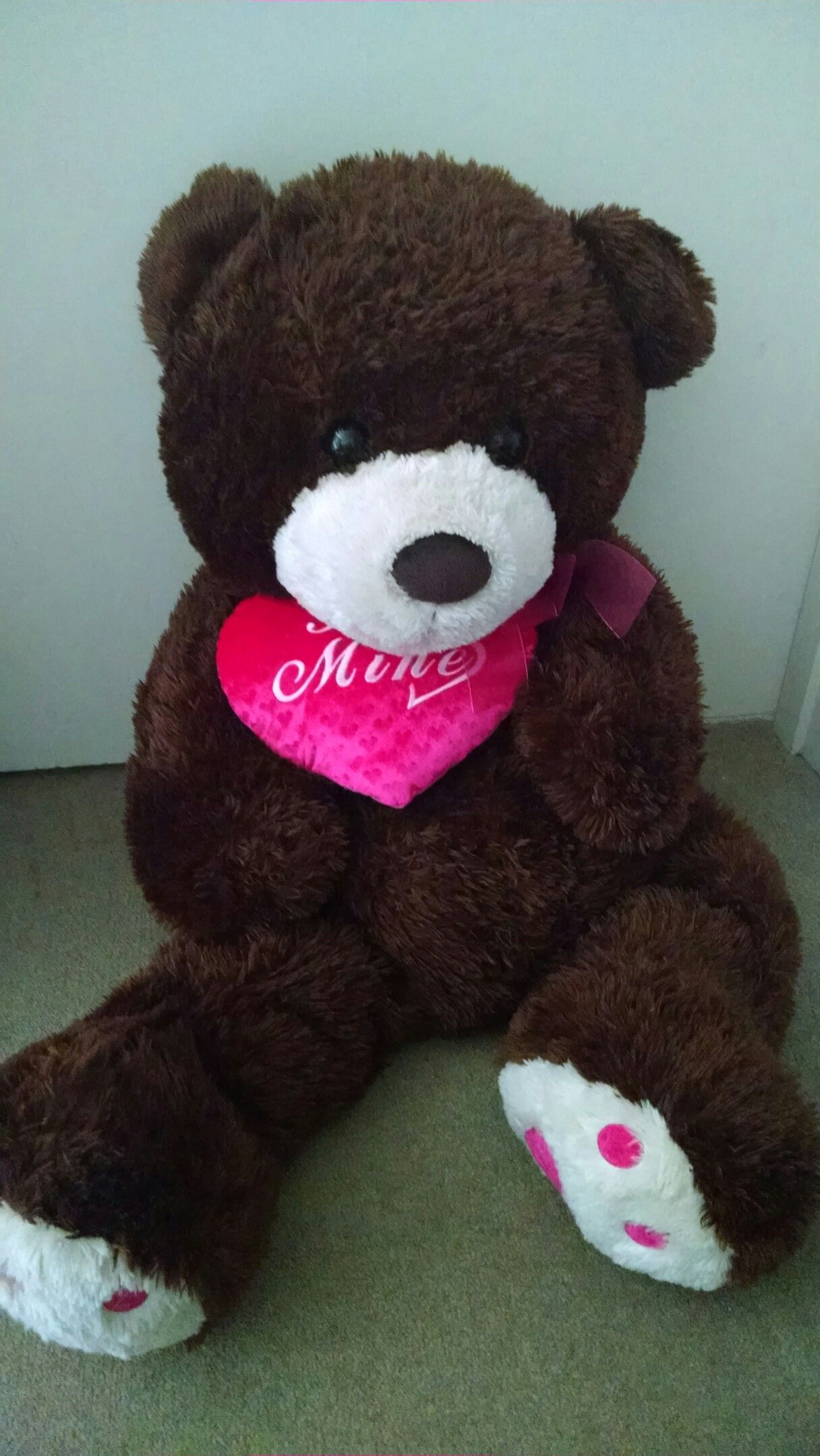 40 in teddy bear for Valentine's day