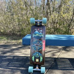 Longboards Pantheon And Rayne 