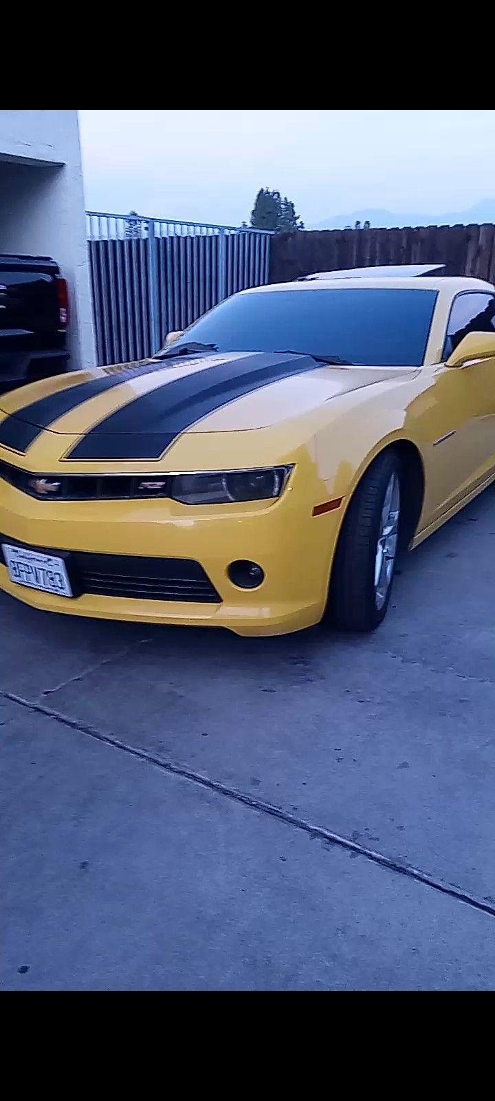Windshield