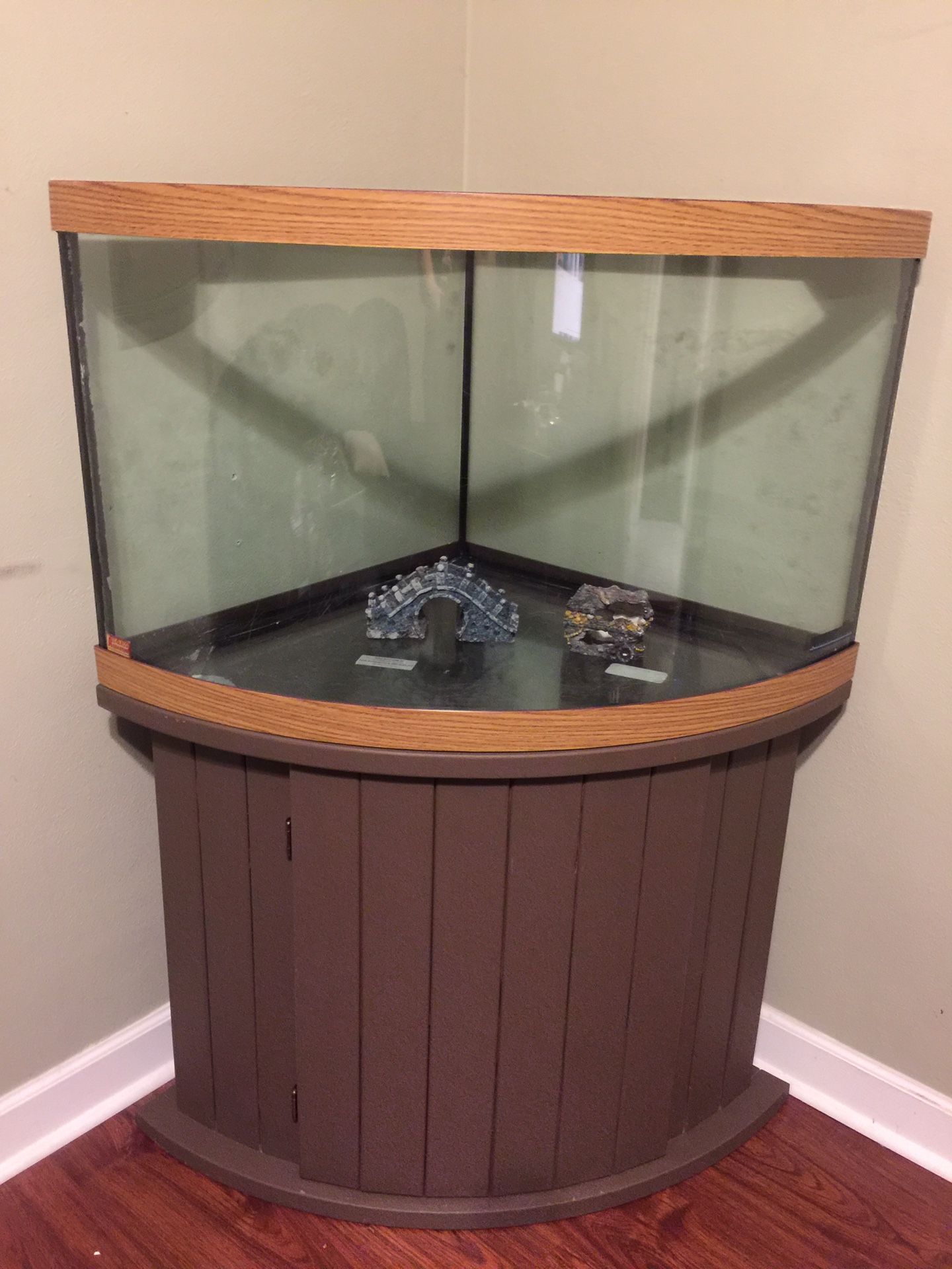 55 gallon bow front corner fish tank