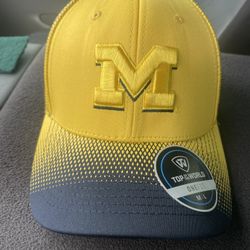 Michigan Wolverines Hat 