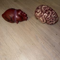 Brain & Heart 