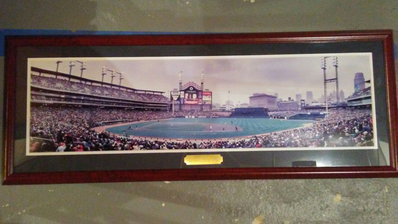 Detroit tigers first pitch at comerica park panoramic view
