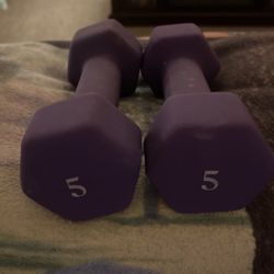 5 pound Weights