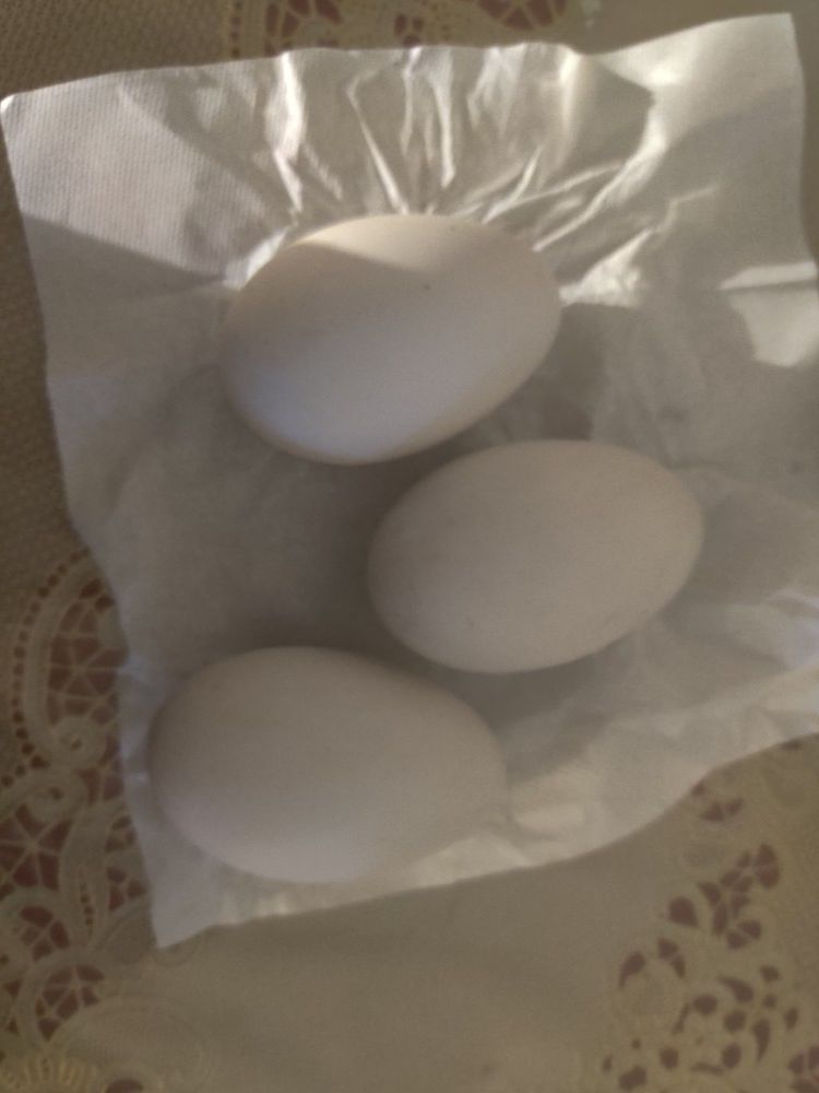 3 goose eggs