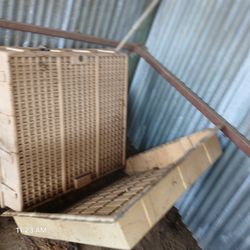 4x4 Grow Trays Also have two by 4 Four By eight and reservoirs