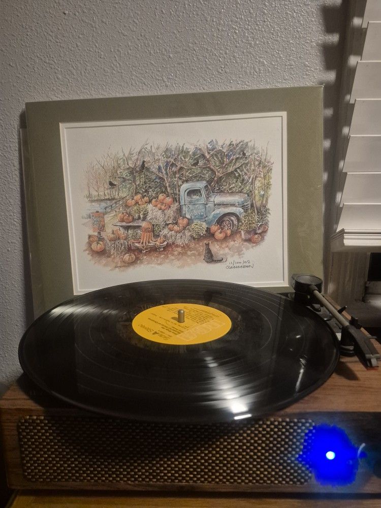 Vinyl Record Player