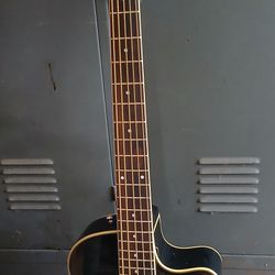 Brand New 5 String Acoustic Electric Bass Guitar 