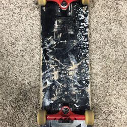 Complete Skate Board 