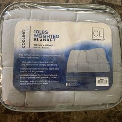 New In Packaging 10 Lb Weighted Blanket