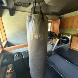 Punching Bag With Gloves