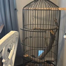 Bird Cage
