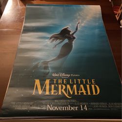 Walt Disney 2 Sided Poster