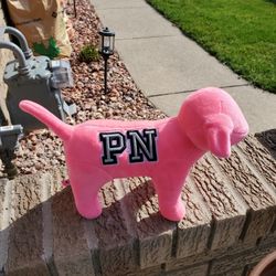 New vs/ Pink Large Dog