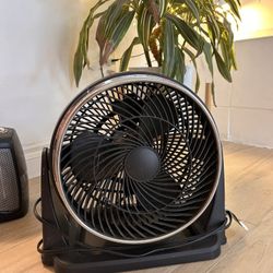 Fan