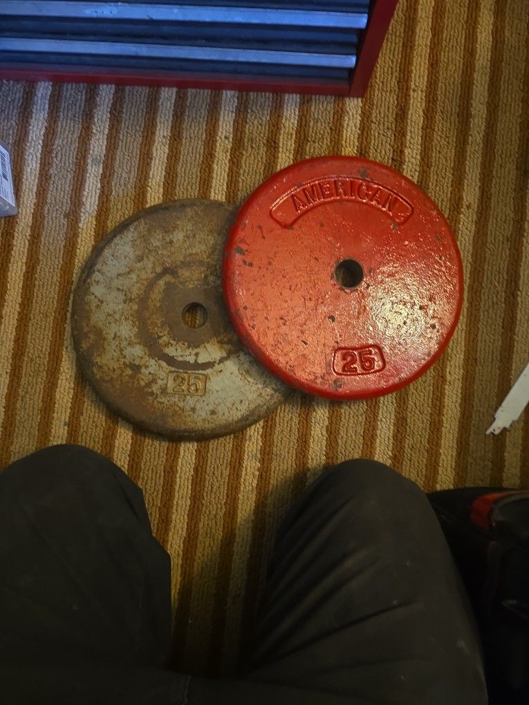 Two 25-pound weights