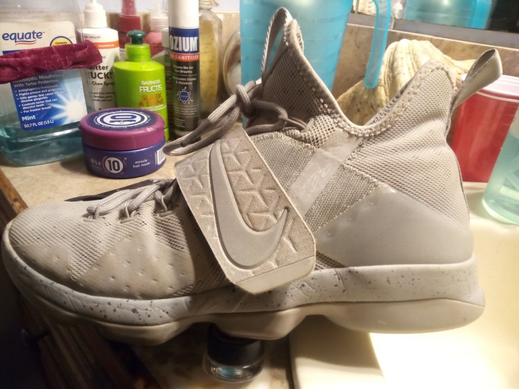 LABRON JAMES Nike Silver 14 Sneaker