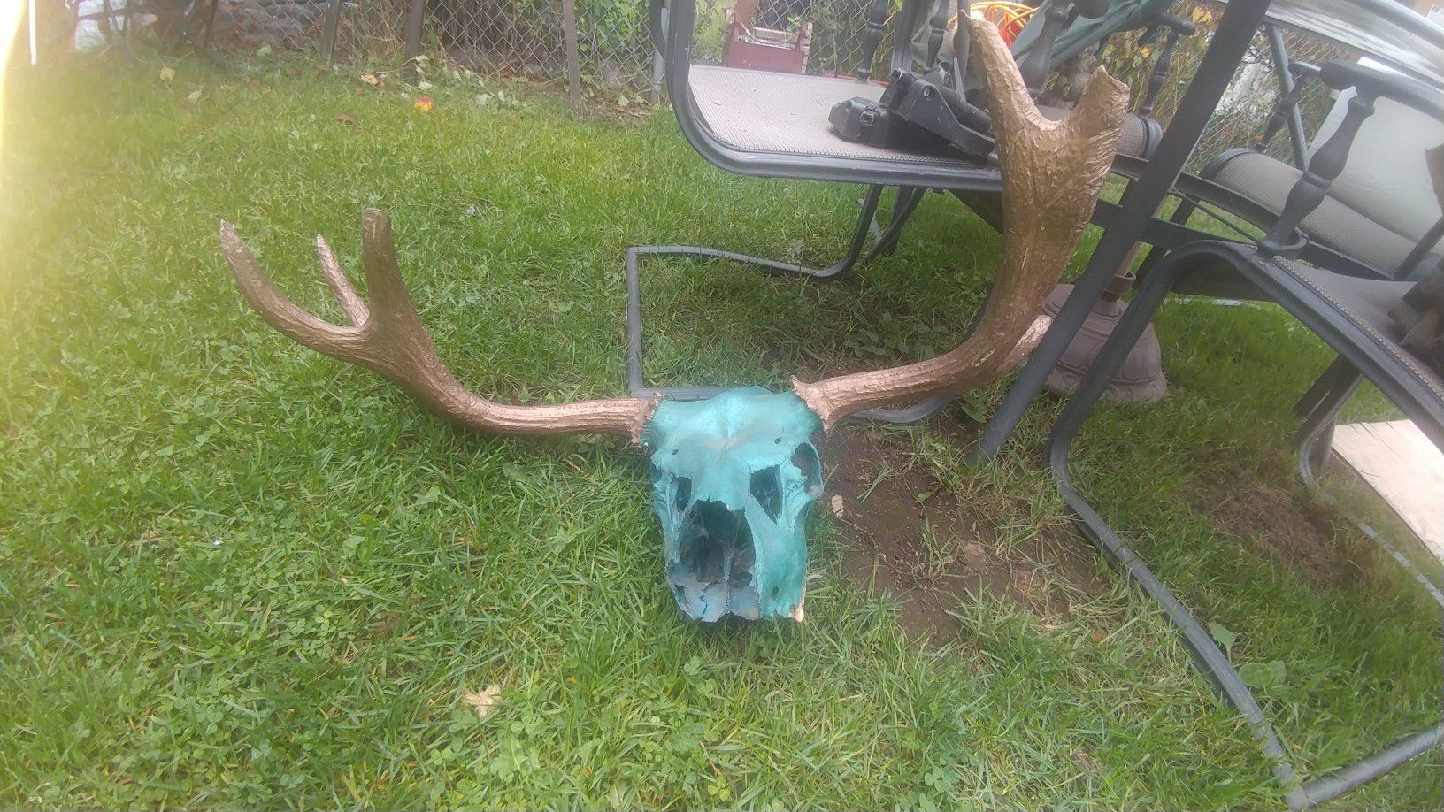 Skull and antlers