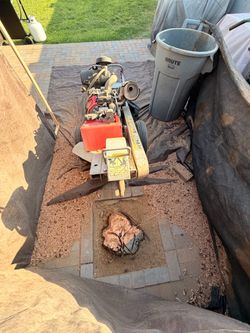 Stump grind & remov