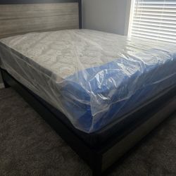 Better Price Single Twin Mattress 99 Full Double 159 Queen Bed 179 King 229 California King 229 Frame 69 XL Twin Mattresses Same Day Delivery 