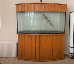 Fish tank and fish tank stand