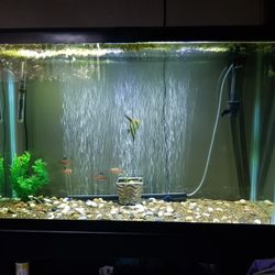 45 Gallon aquarium  Fish Tank