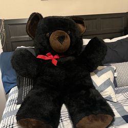 Teddy Black Bear