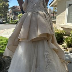 Quince Dress