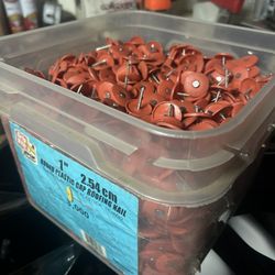 Roofing Nails. 3000 Box