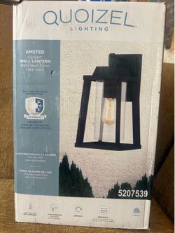 Quoizel 15-in Outdoor Wall Lantern