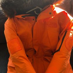 NorthFace Coat 