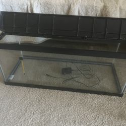 20 Gallon Fish Tank with Lid
