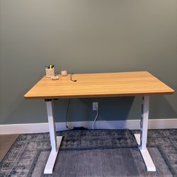 Electric Standing Desk 