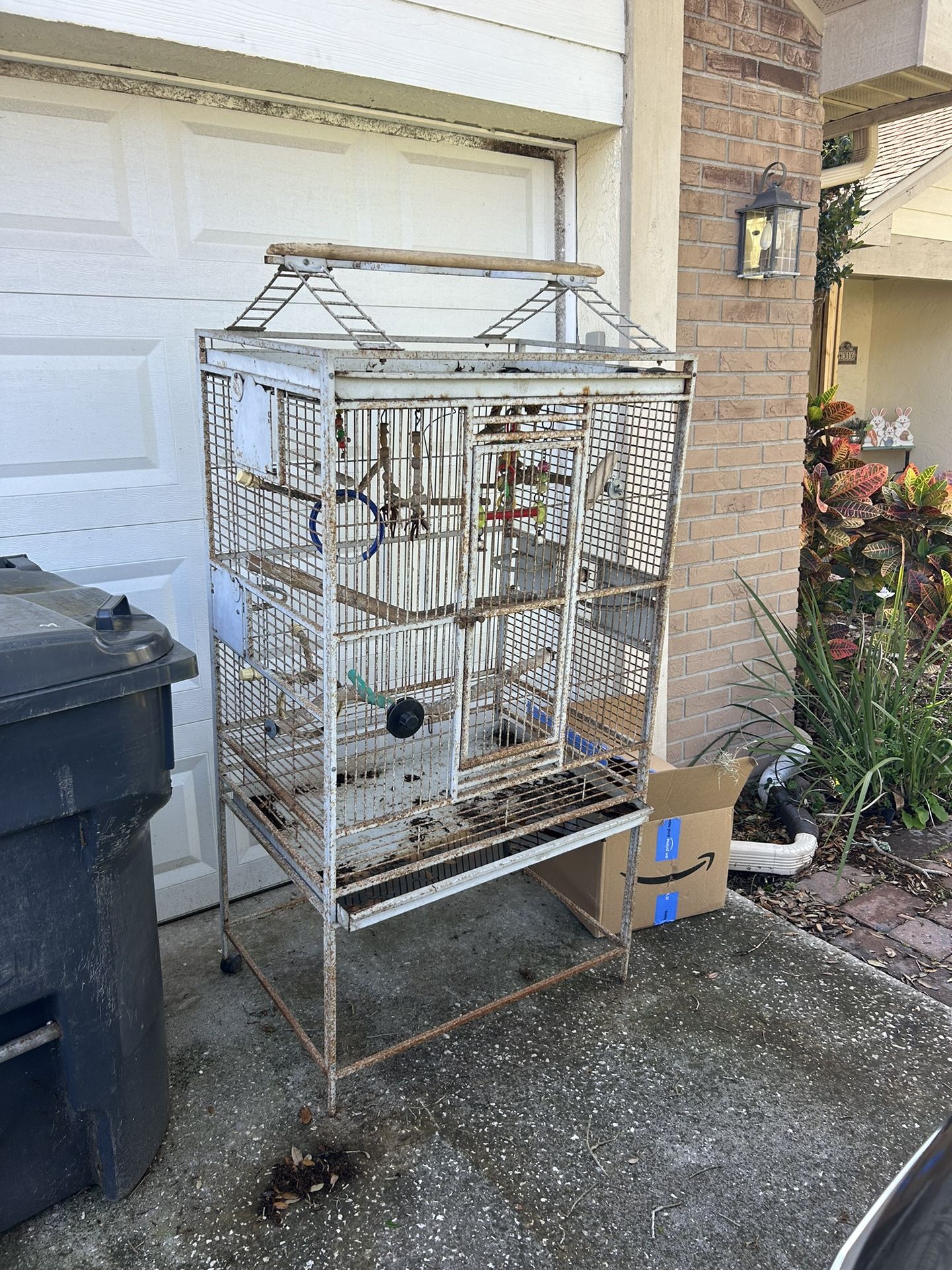Free Bird Cage