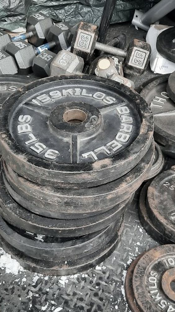 Weight Plates 35s ($125 Per Pair)